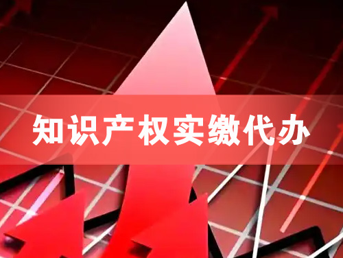 漳浦知识产权实缴资本代办